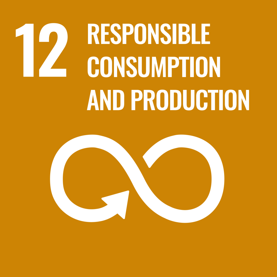 sdg12-icon.png