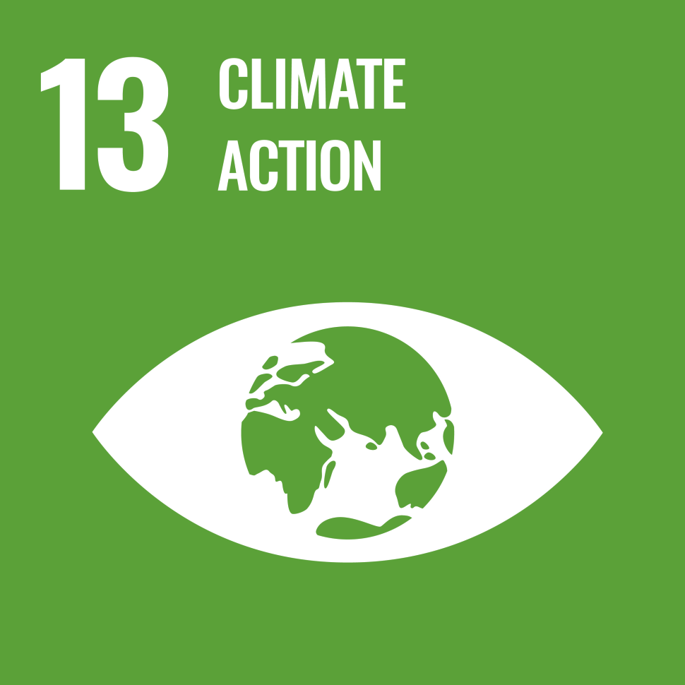 sdg13-icon.png