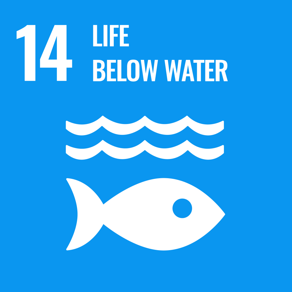 sdg14-icon.png