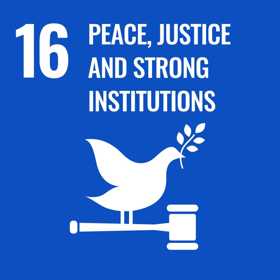 sdg16-icon.png