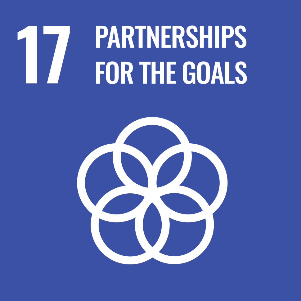 sdg17-icon.png