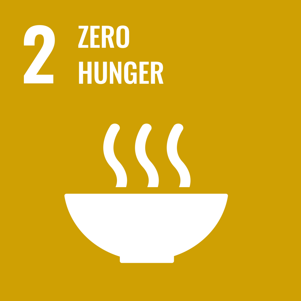 sdg2-icon.png