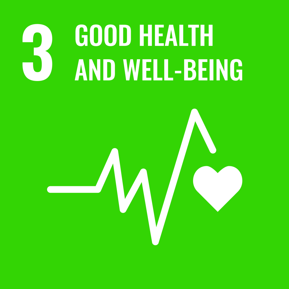sdg3-icon.png