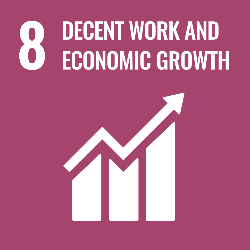 sdg8-icon.png