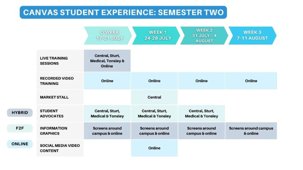 Canvas student experience: Semester two