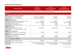 Schedule of benefits - staff
