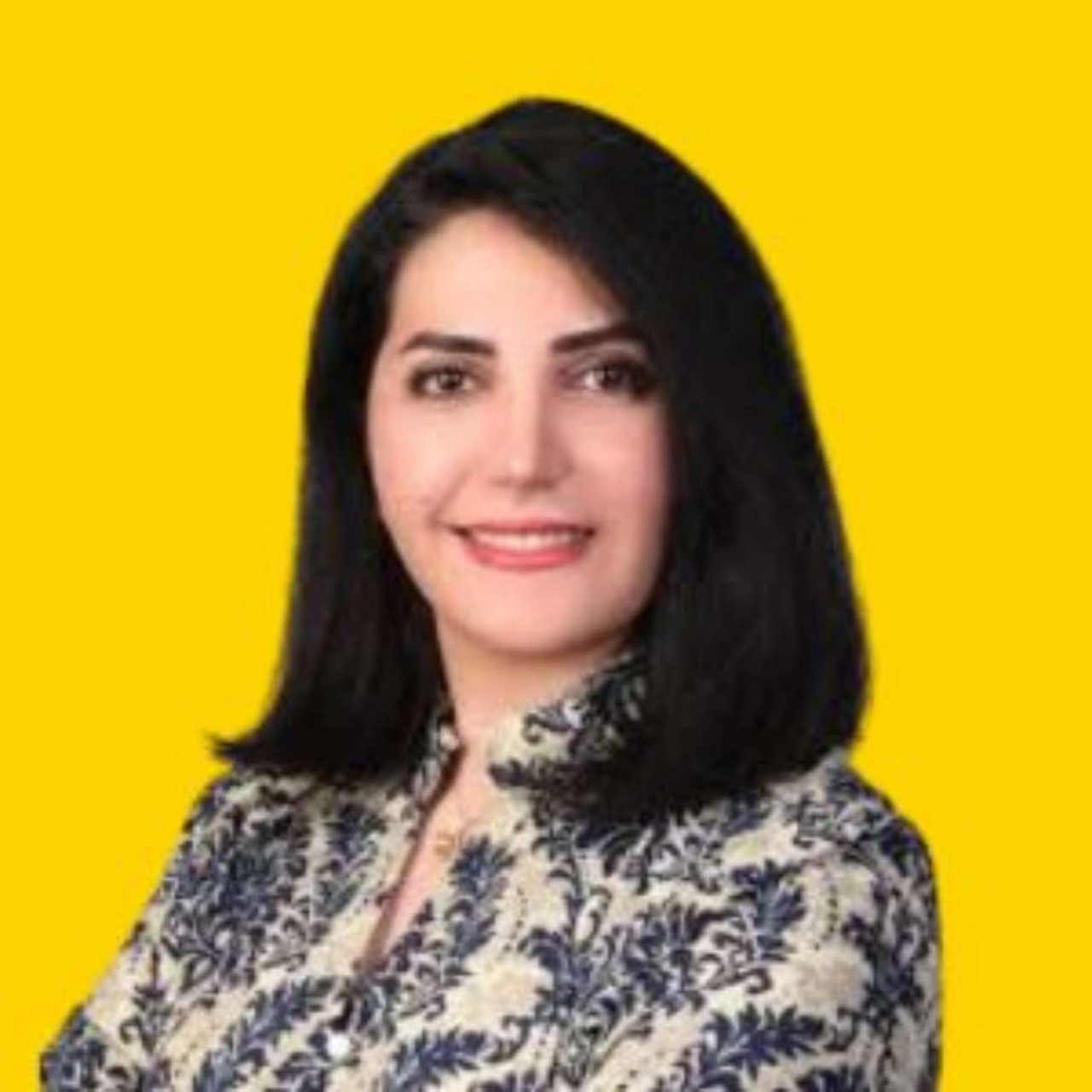 Fellows at Flinders - Dr AFROOZ BAYAT, FHEA