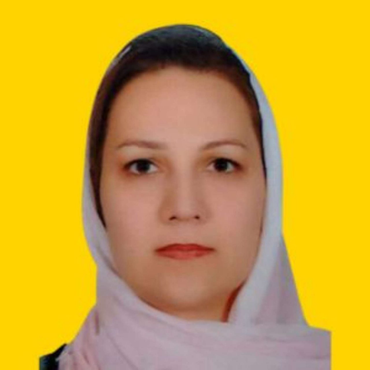 Fellows Photo June 2026 update - Mehrnaz Keyhanfar