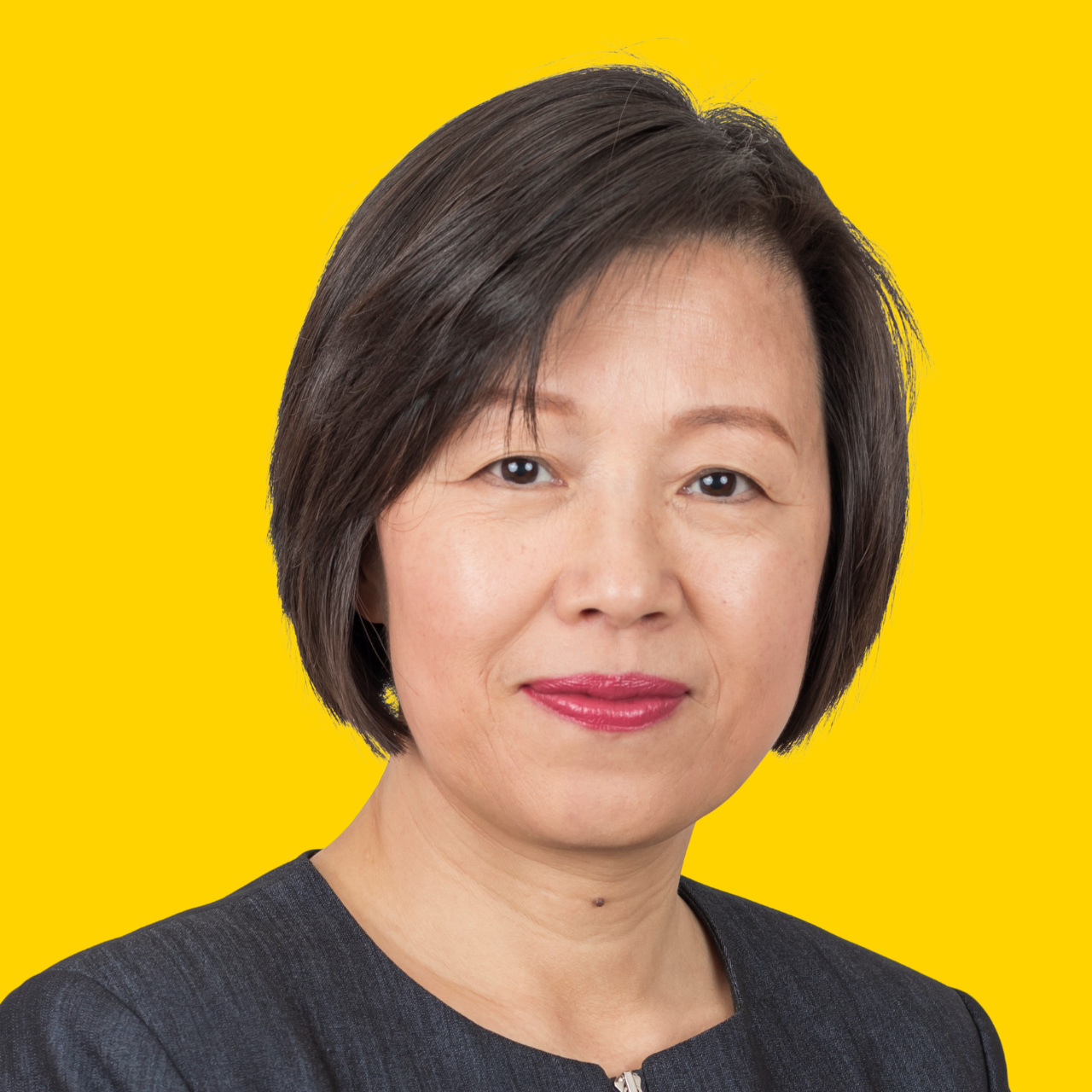 Fellows at Flinders - PROF FRANCES LIN,  SFHEA